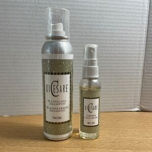 diCesare Liquifix Liquid Mousse 2 fl oz Waterless Shampoo 2.5 oz Lot of 2 Sealed